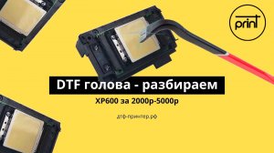 ️Разбираем голову в DTF принтере, смотрим манифолд. Epson xp600 #dtf #printhead