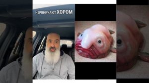 ⭐️ Рыба-капля — звезда года!
