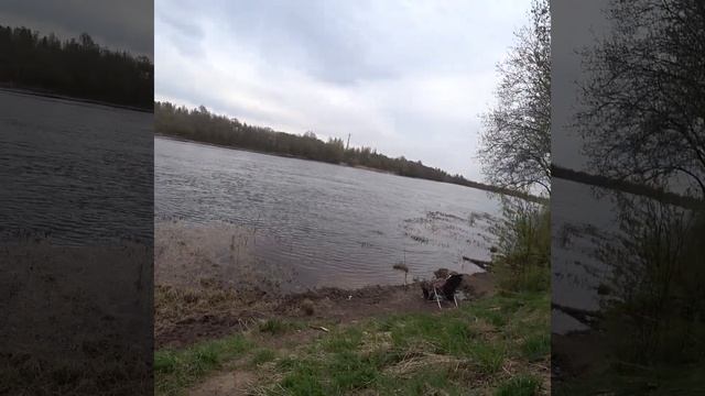 Sapa knows смотреть онлайн