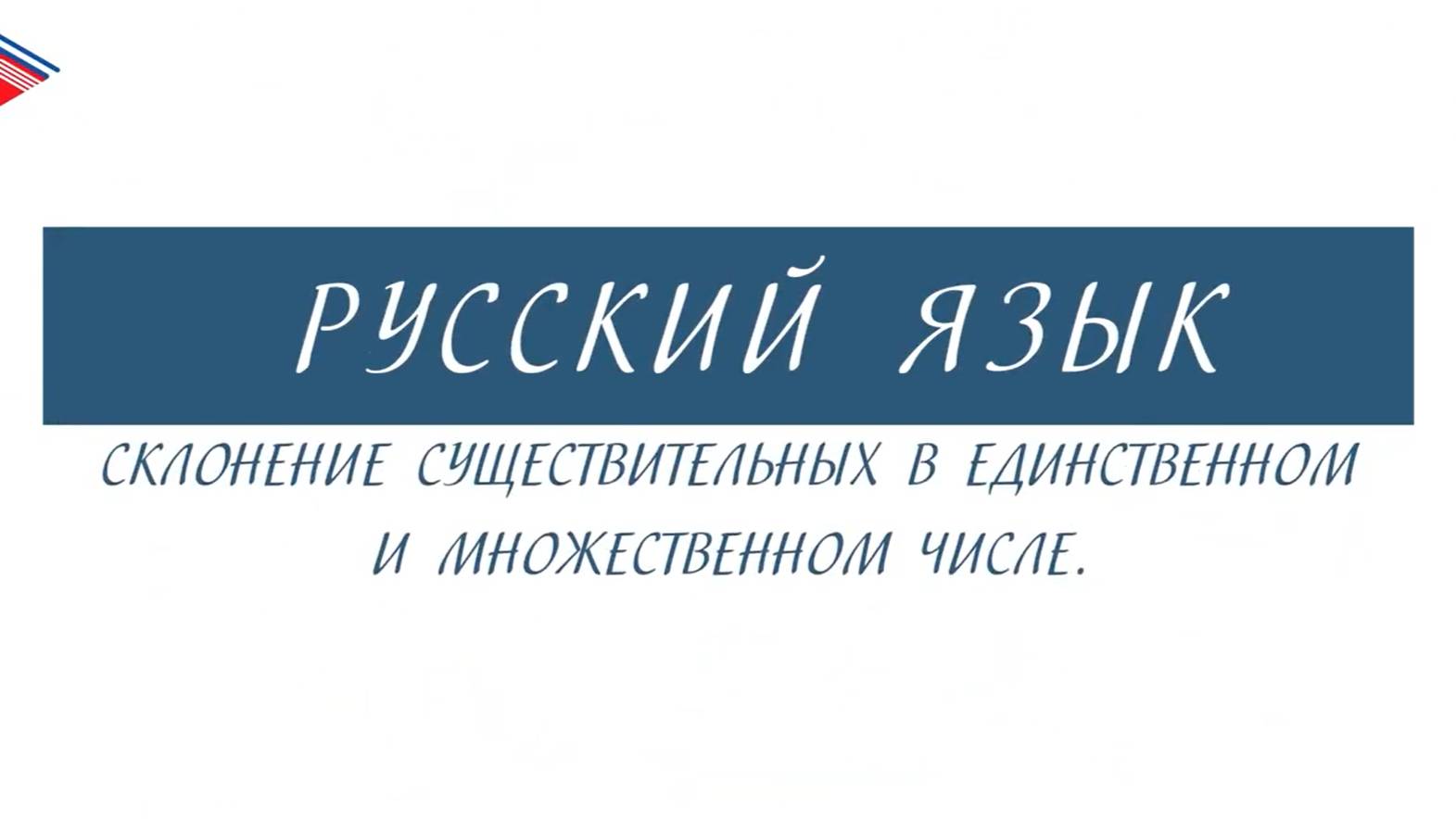 6 класс - Русский язык - Склонение существительных в единственном и множественном числе