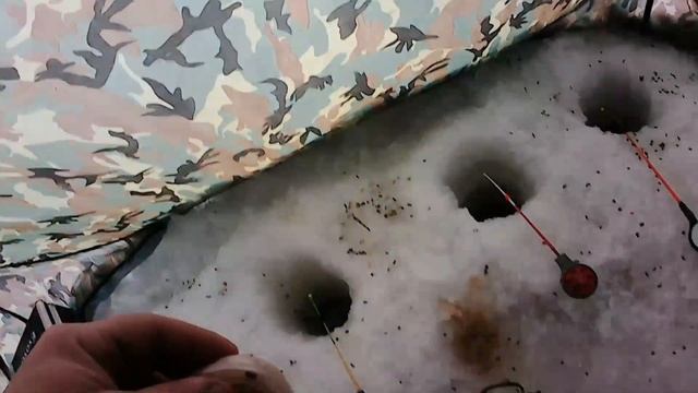 караси монстры клевали весь день, много трофеев. рыбалка на озере чаны.. остров заячий