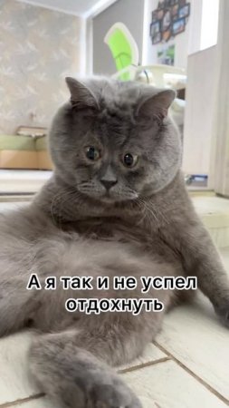 Смешавки.