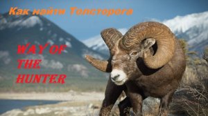 Наконец нашел бешеного Толсторога которого просили добыть для выставки