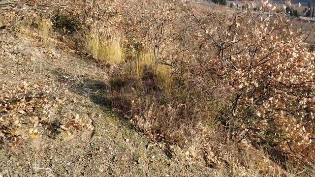 15 сот. г Алушта, с. Изобильное ИЖС смотреть онлайн