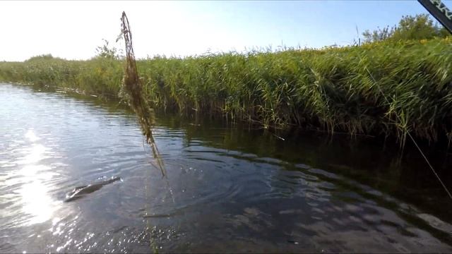 УДАЧНАЯ РЫБАЛКА на ЩУКУ смотреть онлайн