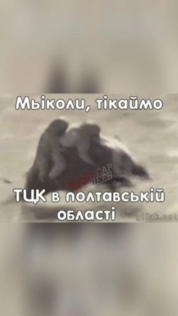 Тикай-тикай, Мыкола. Пока совсем поздно не стало 🐷