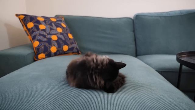 Теперь нас ТРОЕ! Пополнение нашей японской семьи смотреть онлайн