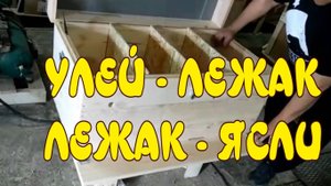 УЛЕЙ - ЛЕЖАК.  ЛЕЖАК - ЯСЛИ.