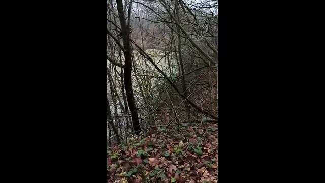 Приехали в село. Прогулка к пруду, городские внуки у бабушки и дедушки. смотреть онлайн