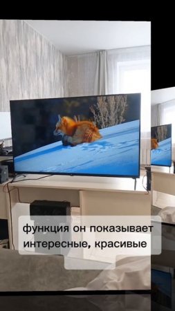 Залипать на спящий телевизор..