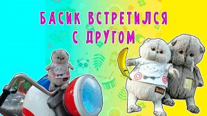 БАСИК ВСТРЕТИЛ СВОЕГО ДРУГА / БАСИК ВЕСЕЛИТЬСЯ НА ПРОГУЛКЕ