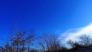 Макеевка ДНР сегодня , бывает и такое настроение...