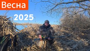 Открытие Весенней Охоты на Селезня с подсадной уткой!