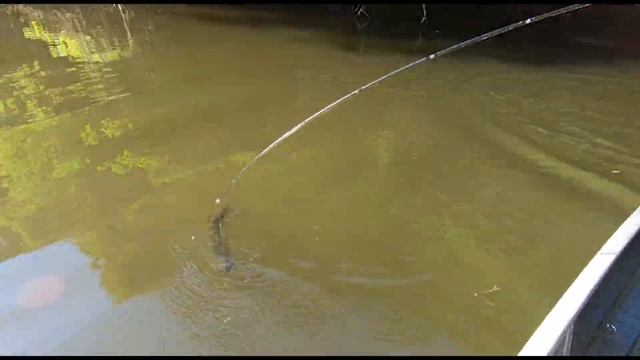 コンバットスティック「ORION」イメージPV_No.002 смотреть онлайн