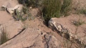 Южный Иссык-Куль Киргизия