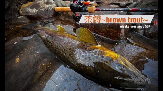 冬の鱒にはルアーをネチネチ見せつける【北海道 釣り】 смотреть онлайн
