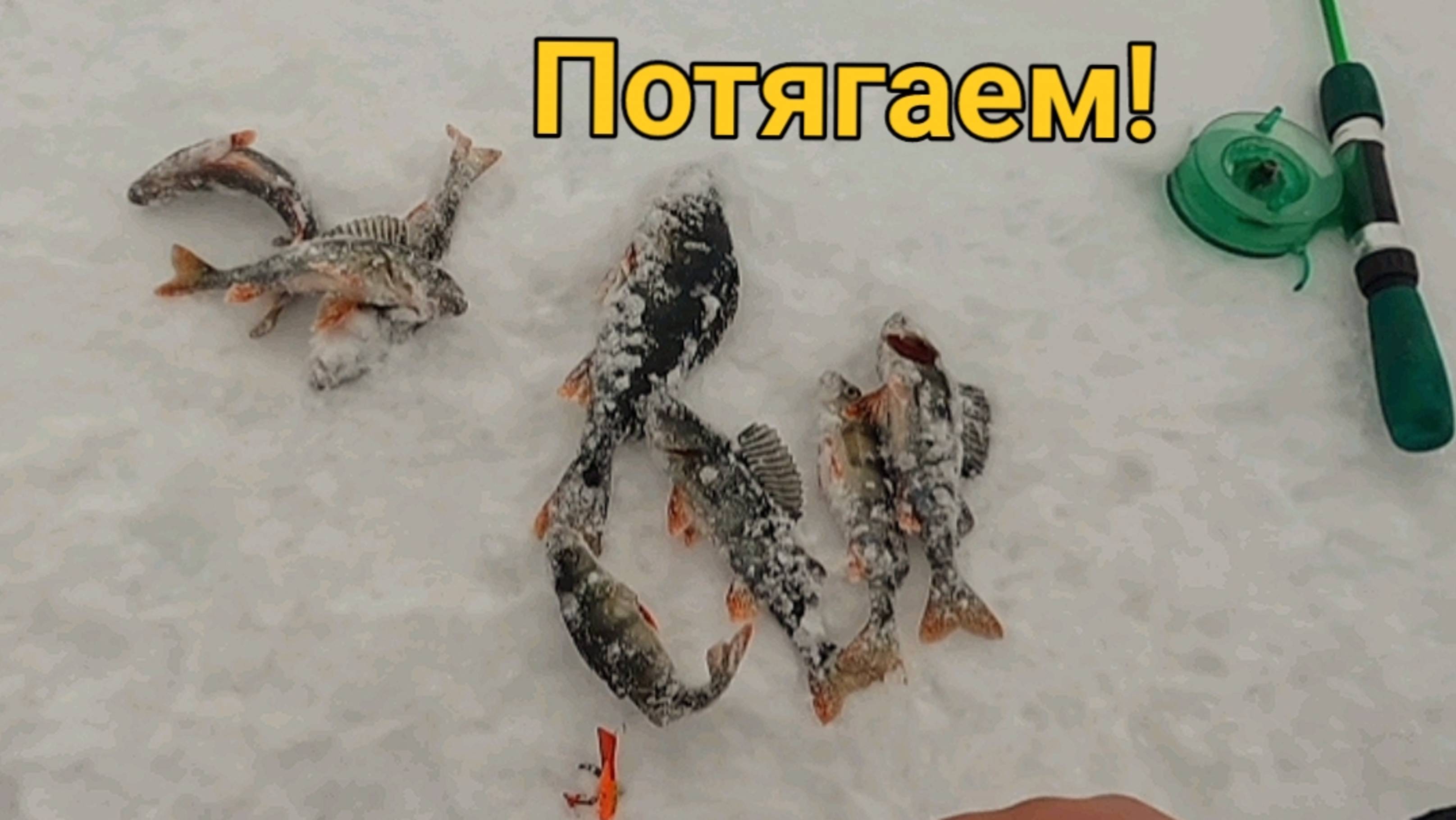 Ловлю окуня в непогоду