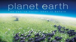 Сериал Планета Земля – 1 сезон 4 серия / Planet Earth