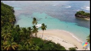 Перестань зависеть от мотивации! Почему она вам не нужна_ И что с этим делать_ (360p)