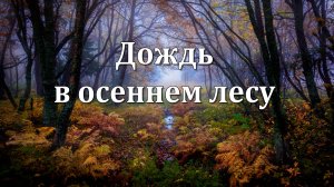 Осенний Дождь в Лесу | 6 Часов Успокаивающих Звуков для Релаксации и Сна 🌧️🍂🌧️