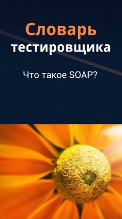 Словарь тестировщика. Что такое SOAP?