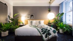 Комнатные растения в спальне
