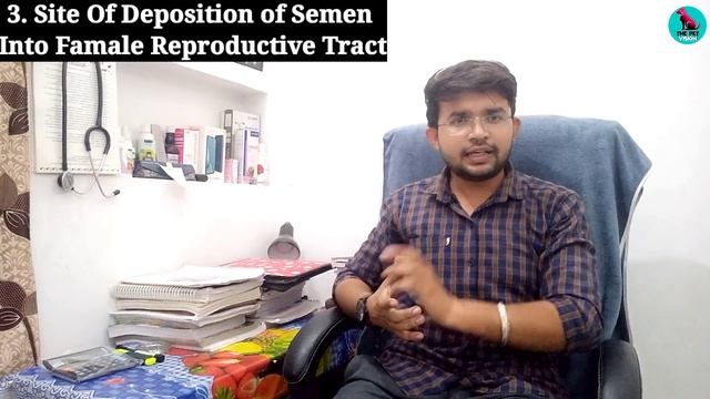 dog breeding के महत्वपूर्ण प्रश्न || कब करवानी चाहिए ? || time of coitus क्या है 🤔 ? #dogs смотреть онлайн