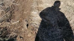 20.03.2025.Усадьба Парк Кино Ляхово. Парк Кошек. Домодедово. Набережная им. Героев СВО. Часть1.