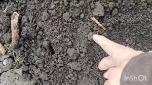 Первый весенний коп по старине