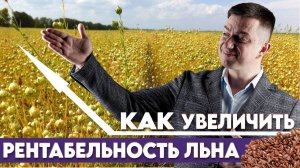 7 шагов для успешного выращивания льна. Советы для повышения урожаев.