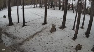 Снег исчез за 2 дня