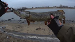 Зимний спининг продолжается, изучаем новые места.