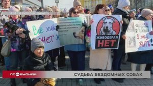 Митинг против эвтаназии бездомных собак прошёл в Иркутске