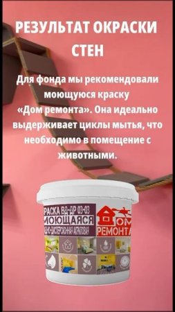 Фонд помощи бездомным животным "ДРУГ"