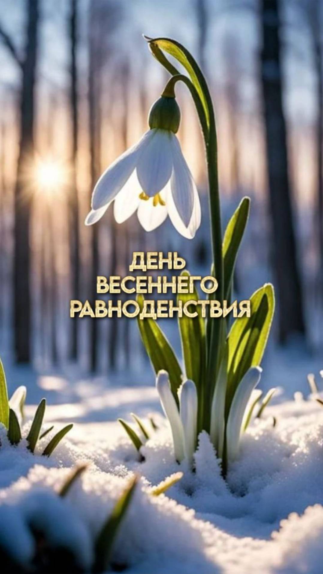 🌷  День Весеннего Равноденствия 🌷