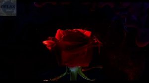 Музыка для массажа