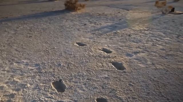 20 Impossible Fossils That Could Completely Rewrite Human History