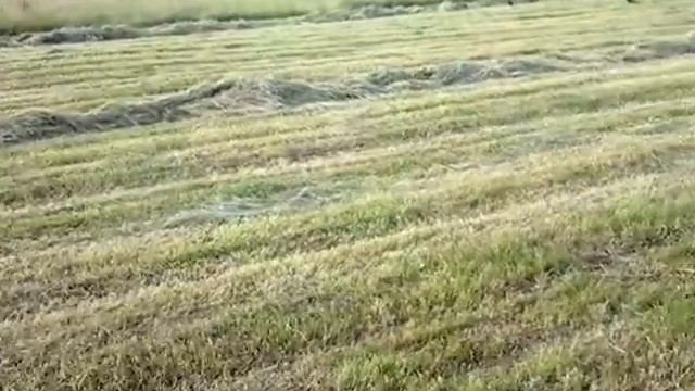 как работает рулонник