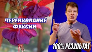 Самый простой способ размножить фуксию, черенкование в воде 100% результат