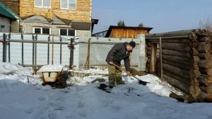 На Урал пришла весна, Кошки рады и мы тоже