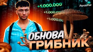 НОВАЯ РАБОТА - ГРИБНИК на PARADISE RP | ГАЙД, ТАБЛИЦЫ и ЗАРАБОТОК на ГТА 5 РП