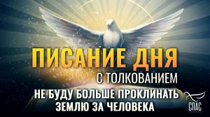 "Не буду больше проклинать землю за человека" / Писание дня