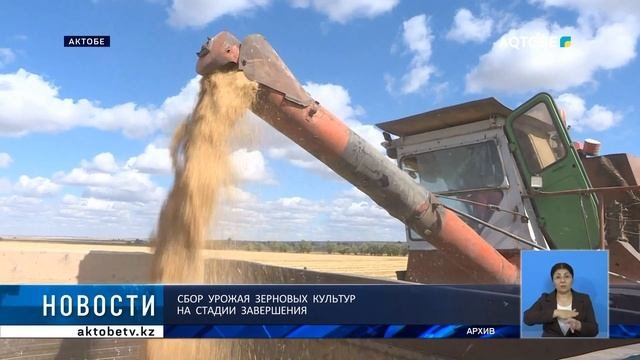 Сбор урожая зерновых культур на стадии завершени