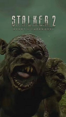 Химера ｜ S.T.A.L.K.E.R. 2： Heart of Chornobyl