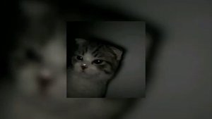 Counting Stars // Speed up