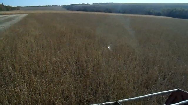 MEGA208 УБОРКА СОЇ-1 смотреть онлайн