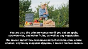 Repeat after the speaker_The Food Chain_For Kids