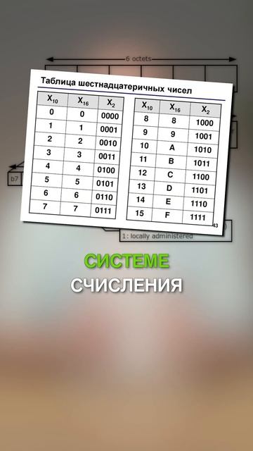 Что такое MAC-адрес? #сисадмин #айти #системныйадминистратор #subscribe #youtube #shorts #macaddres