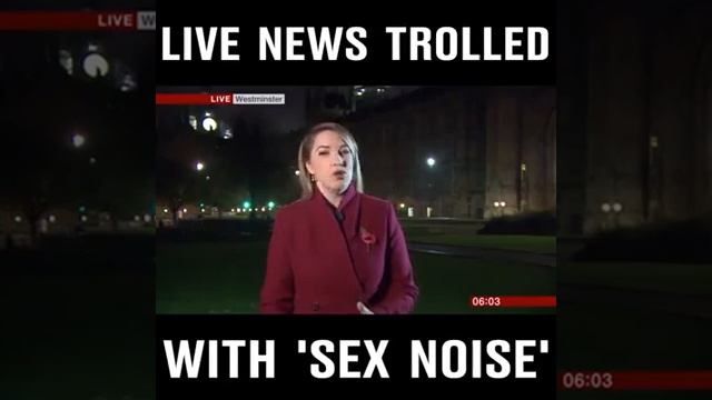Live News Trolled With 'Sex Noise' 📺 📣 смотреть онлайн