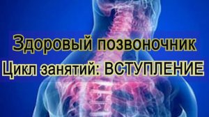 БОЛЬНОЙ ПОЗВОНОЧНИК. Что делать?